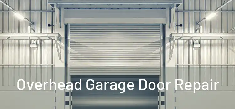  Overhead Garage Door Repair 
